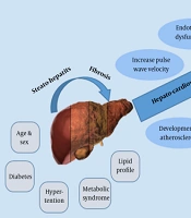 Multidiscip Cardio Annal